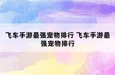 飞车手游最强宠物排行 飞车手游最强宠物排行